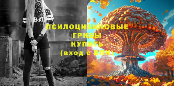 амф Алексеевка