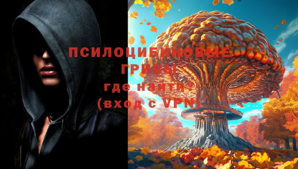 таблы Алзамай
