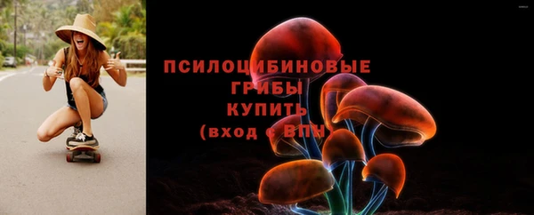 таблы Алзамай